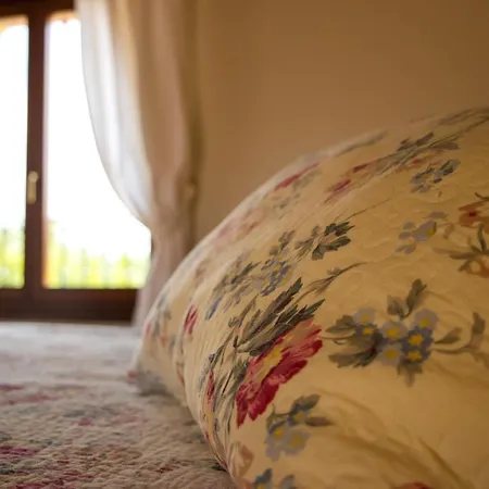 Casa Di Mi Bed & Breakfast Serrungarina