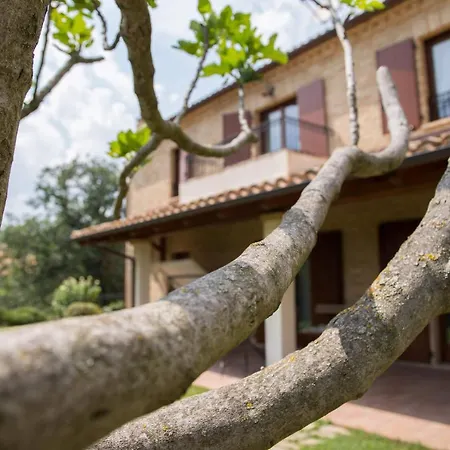 Casa Di Mi * Serrungarina