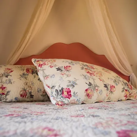 Bed & Breakfast Casa Di Mi